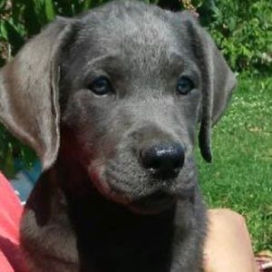 Meet your Posher, Sophia